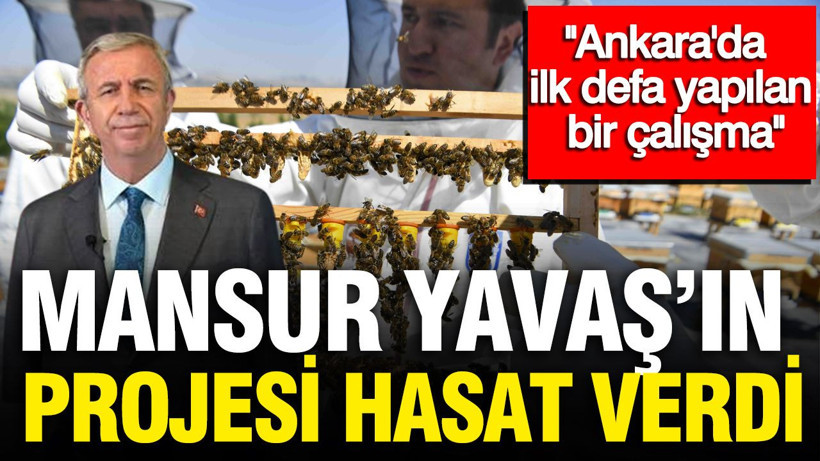 Mansur yavas 49qa